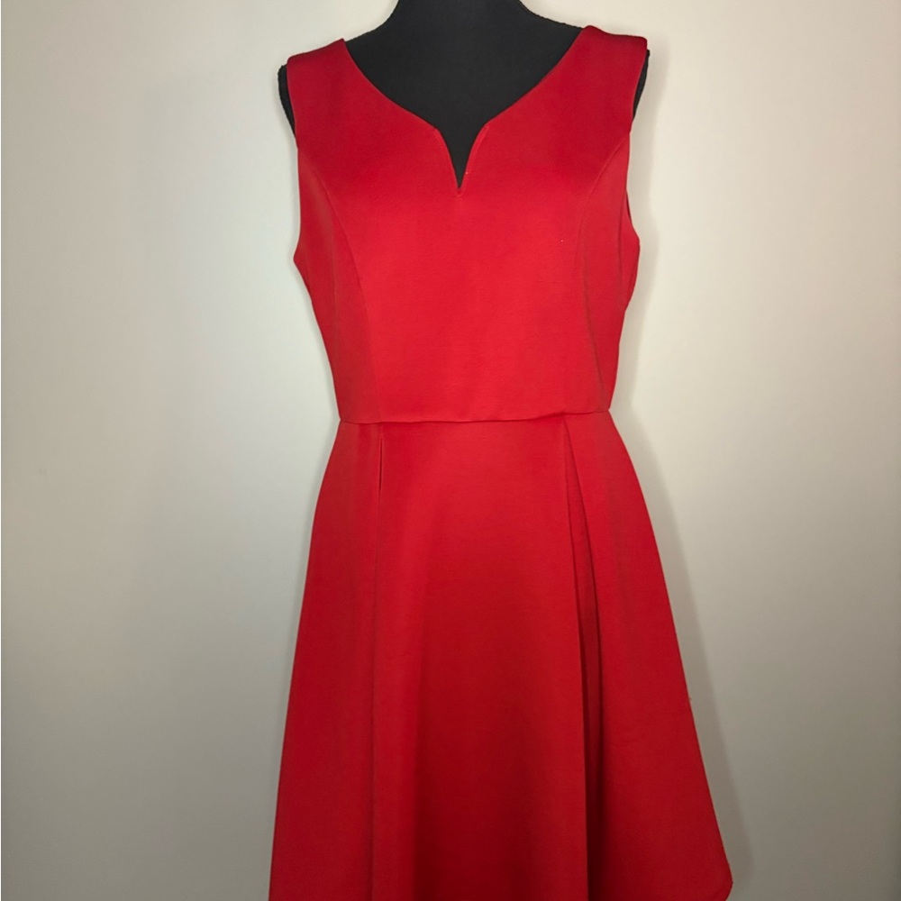 Dina Be Vibrant Red Mini Dress